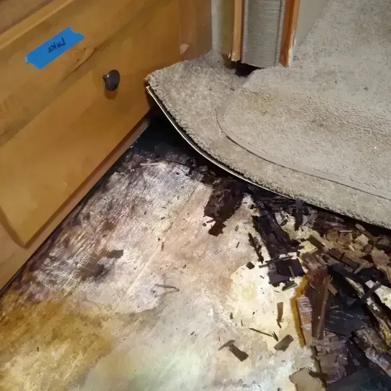 Wood Floor Water Damage in Niagara, WI